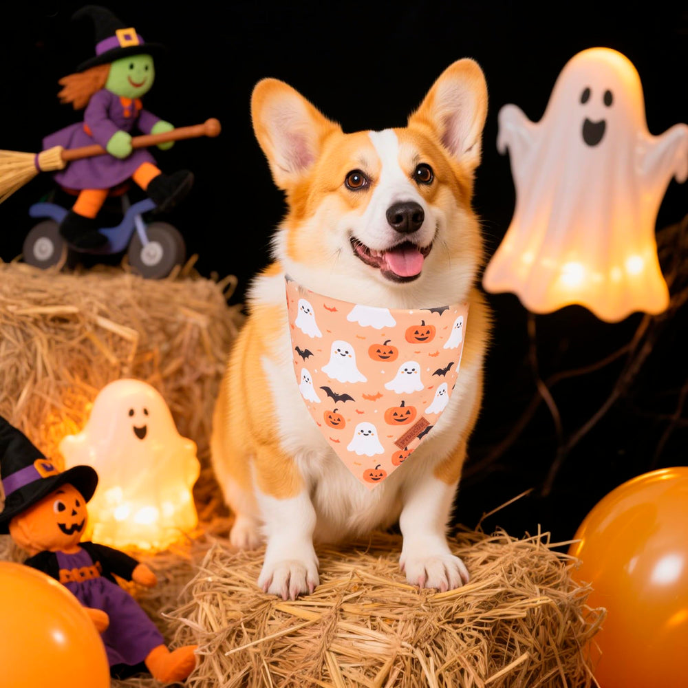 PTDECOR Halloween dog bandana ghost pattern for cute party looks