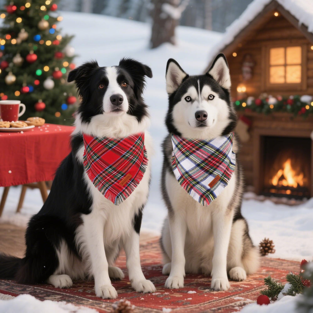 PTDECOR premium cotton dog bandana with double layer for soft comfort