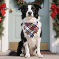 PTDECOR red plaid dog bandana for stylish holiday photos and events