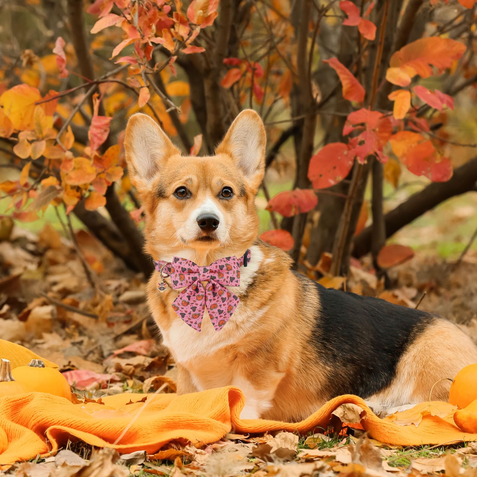 PTDECOR soft polyester fabric collar emphasizes lightweight comfortable daily wear