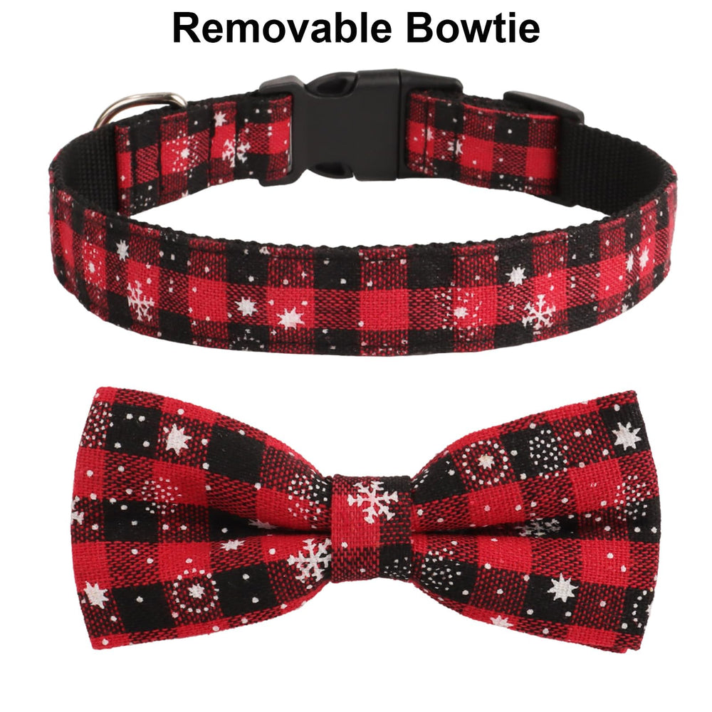 PTDECOR two-collar pack illustrates flexible sizing and seasonal wear for small dogs.