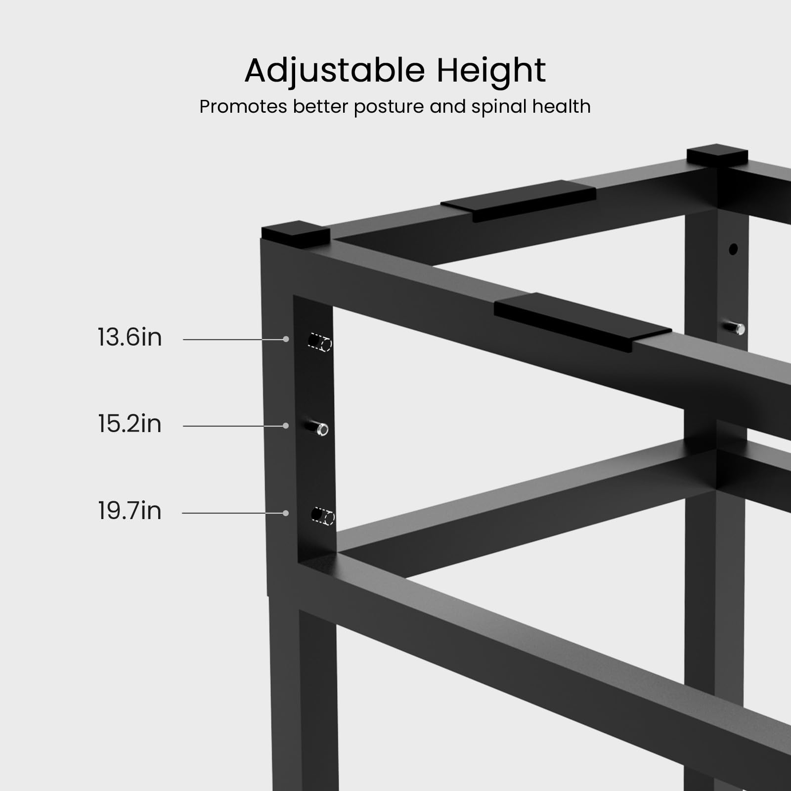PTFFF elevated stand height adjustments demonstrate versatile positions for growing dogs