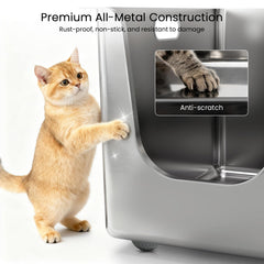 PTFFF curved-entry design eases access for kittens and seniors.