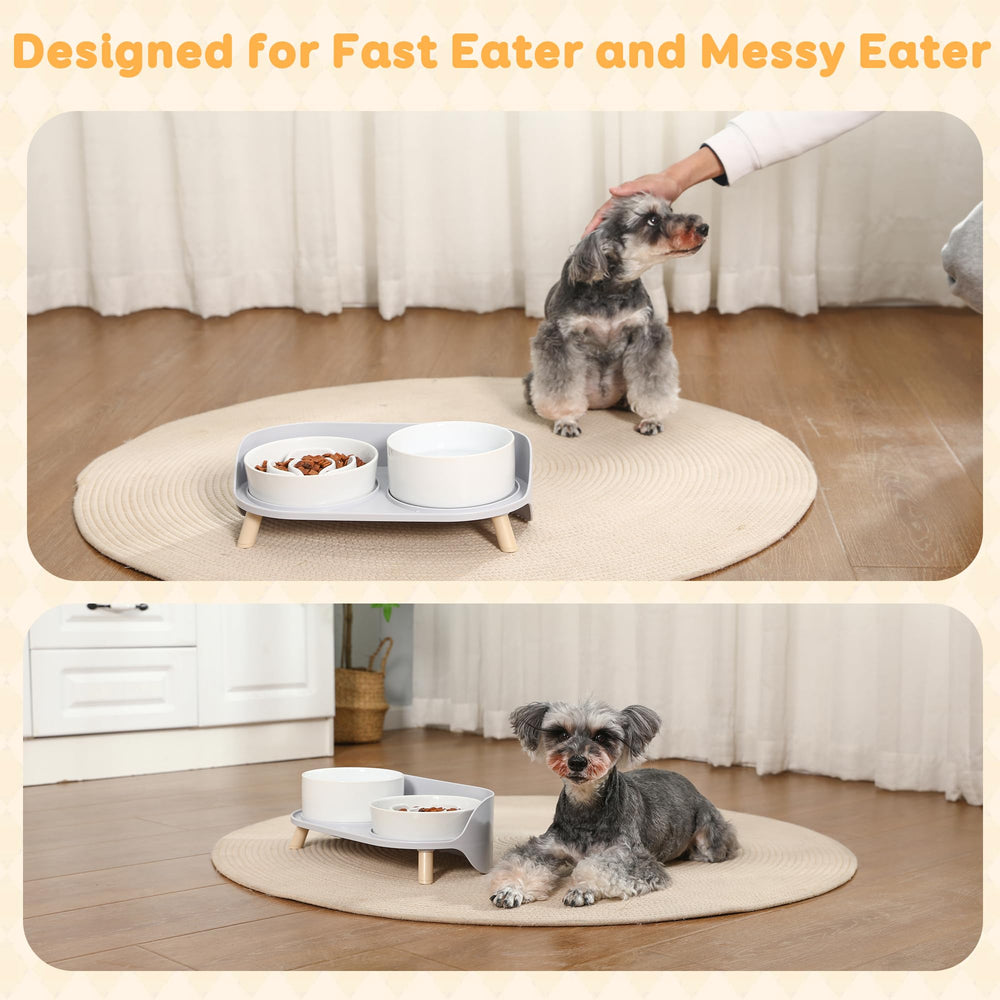 PTOBER 3-in-1 set accommodates dry, wet, and water bowls.