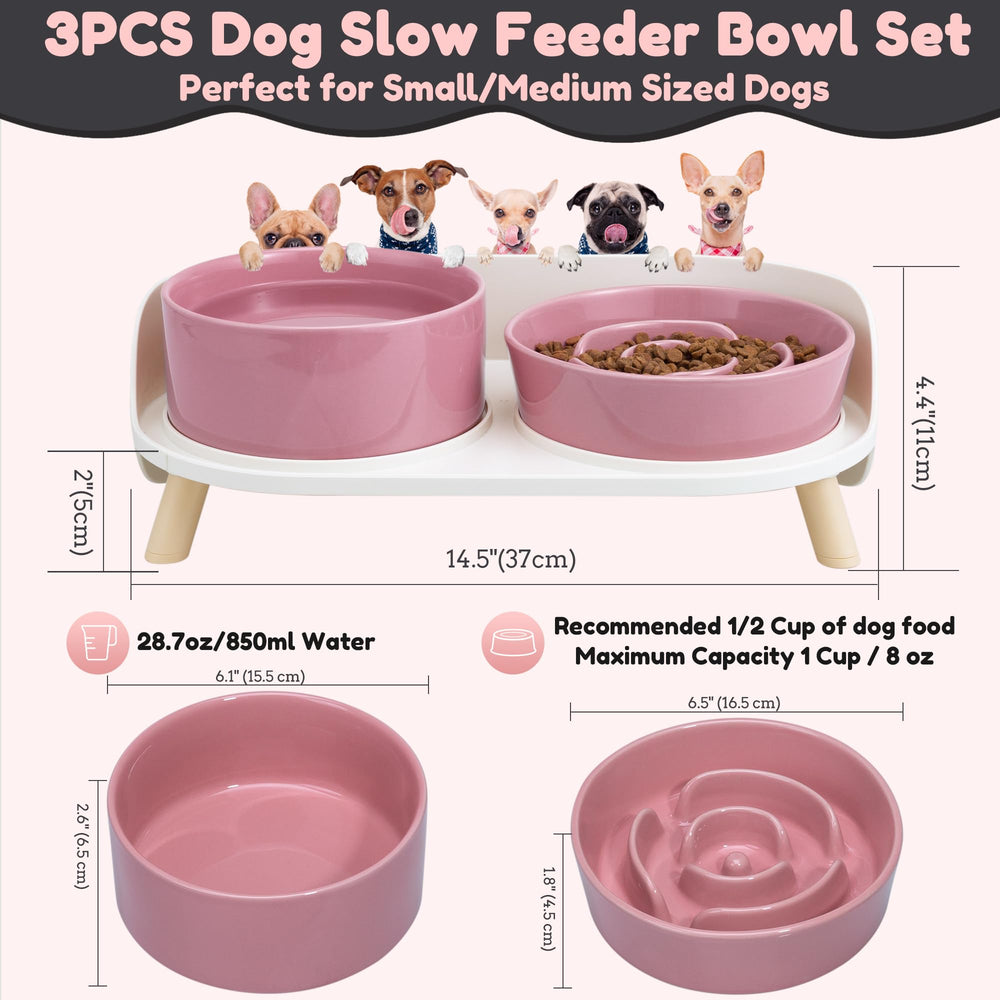 PTOBER ceramic slow feeder bowl close-up shows ridges that add meal challenge.