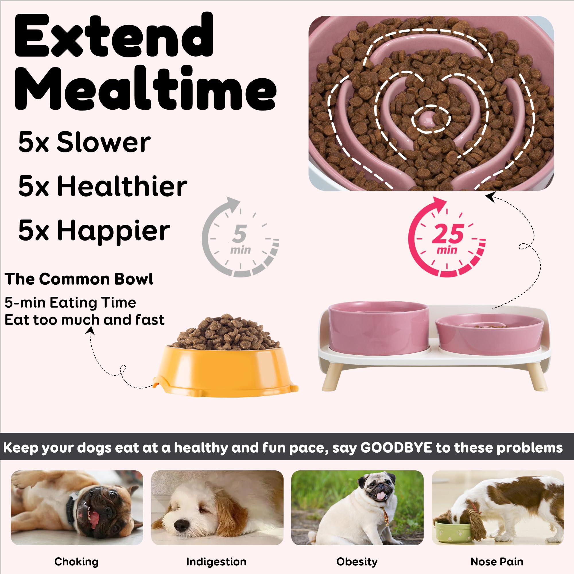 PTOBER dog drinking bowl supports daily hydration with durable ceramic construction.