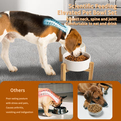 PTOBER dishwasher-safe bowls image emphasizes convenient cleaning after meals.