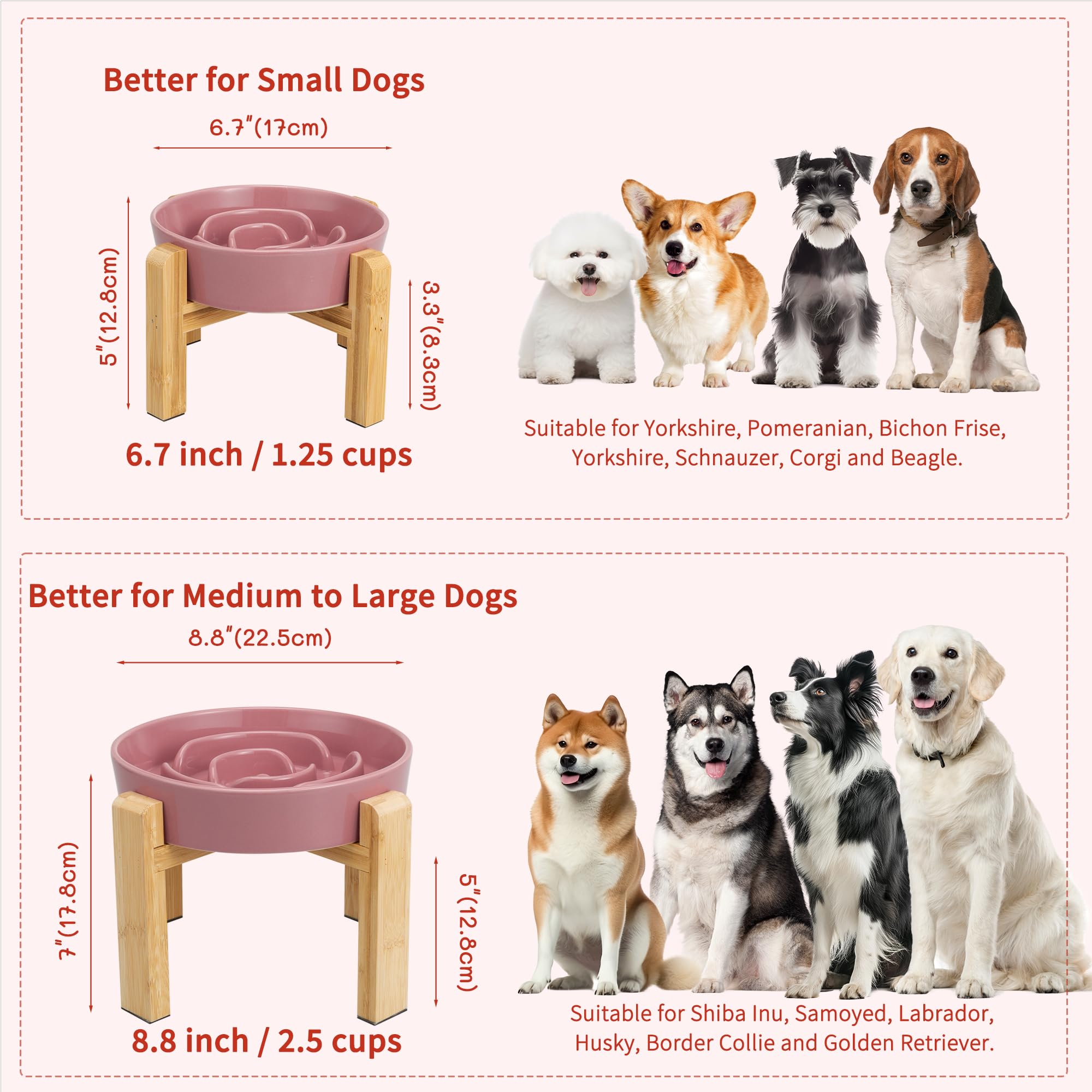 PTOBER ideal for small to medium dogs with slower eating pace
