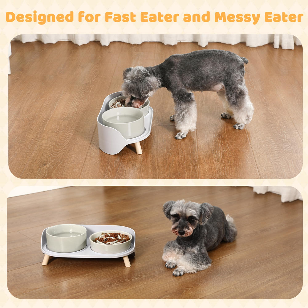 PTOBER bowls handle dry, wet, or water meals with ease.