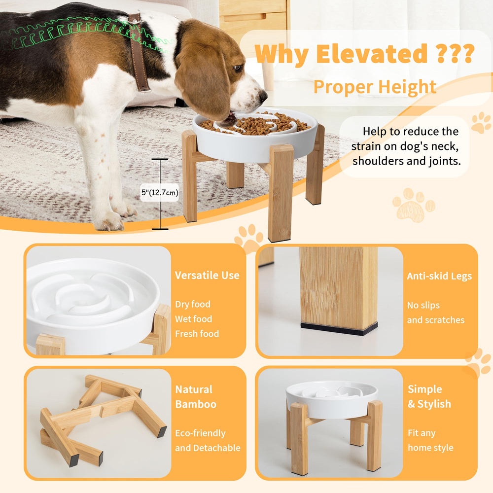 PTOBER non-slip-base keeps the bowl steady during meals.