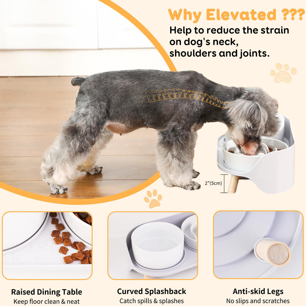 PTOBER non-slip feet keep bowls steady during meals.