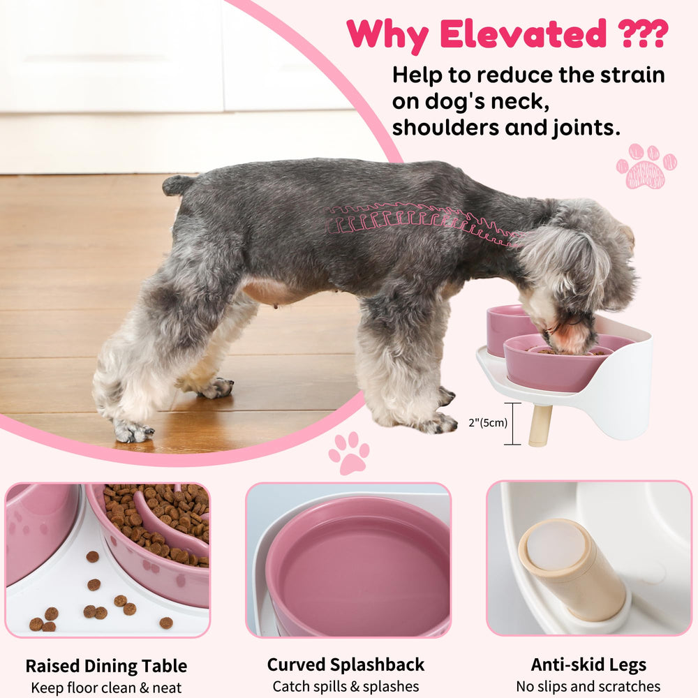 PTOBER raised bowl stand with anti-slip feet keeps mealtime steady.