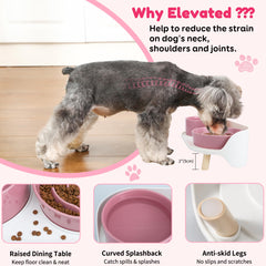 PTOBER raised bowl stand with anti-slip feet keeps mealtime steady.