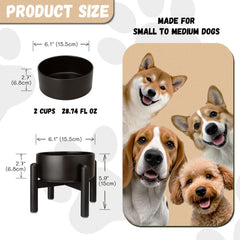 PTOBER raised ceramic dog bowl on stainless steel stand for steadier meals