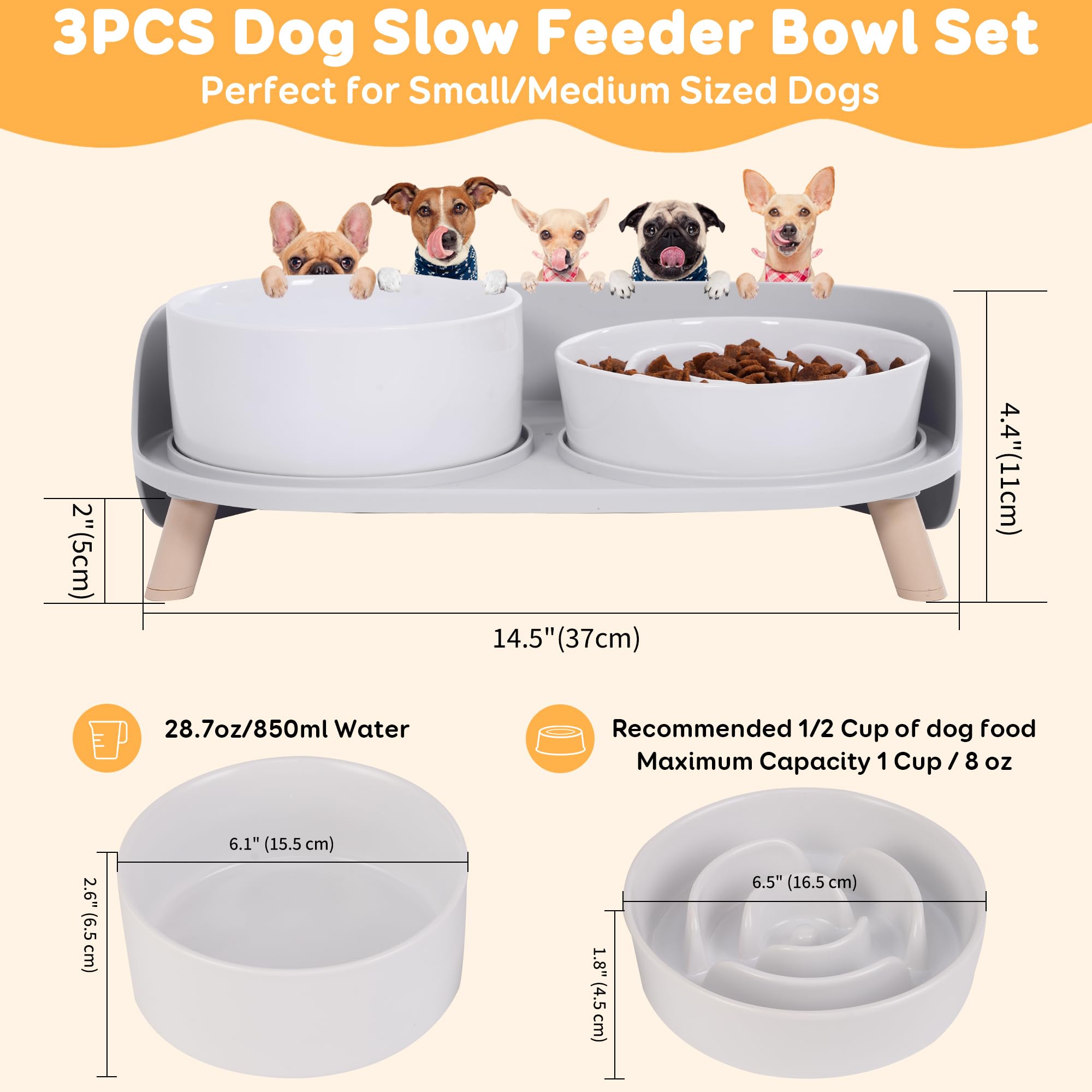 PTOBER raised stand dog feeder supports comfortable dining posture.
