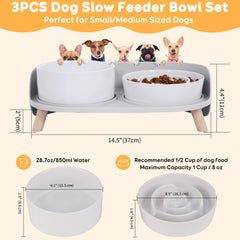 PTOBER raised stand dog feeder supports comfortable dining posture.