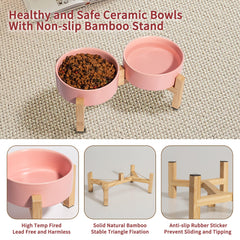PTOBER small 16oz ceramic bowl ideal for cats and puppies.
