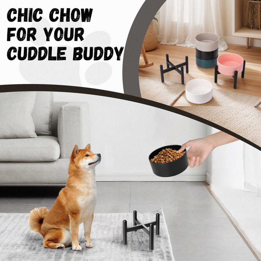 PTOBER bowl designed for small dogs' dining routine
