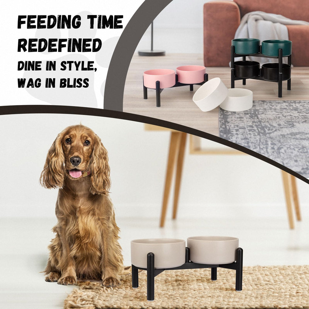 PTOBER small-to-medium-dogs-friendly-mealtime setup with elevated bowls.