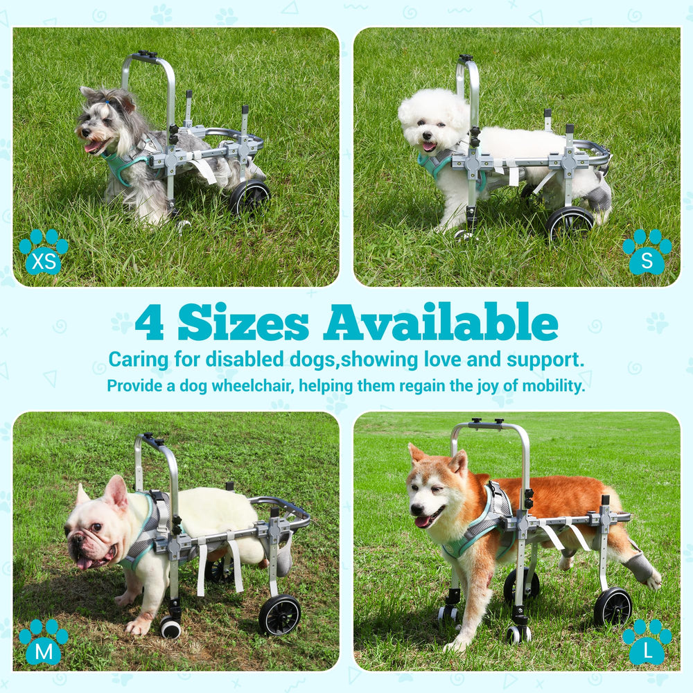 PTWSF dog wheelchair back harness shows rear support aiding mobility recovery.