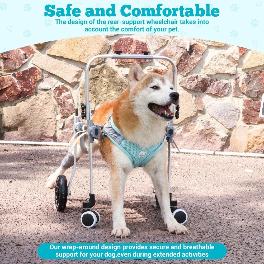 PTWSF dog wheelchair size guide helps correct fit measurements.
