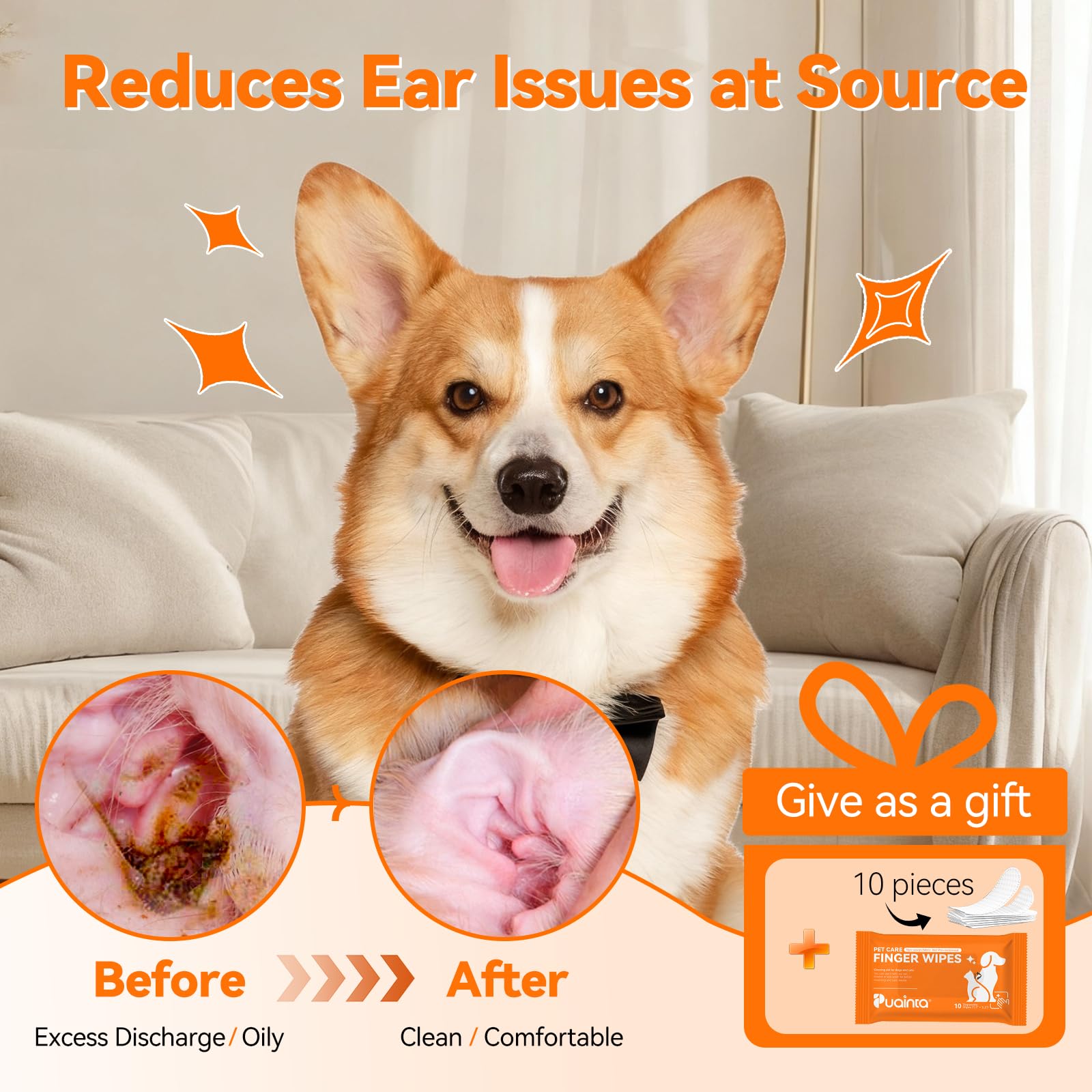puainta alcohol-free steroid-free ear cleaner packaging communicates gentle, safe routine use.