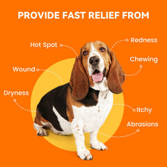 PUAINTA applying hot-spot spray on a dog's skin for relief.