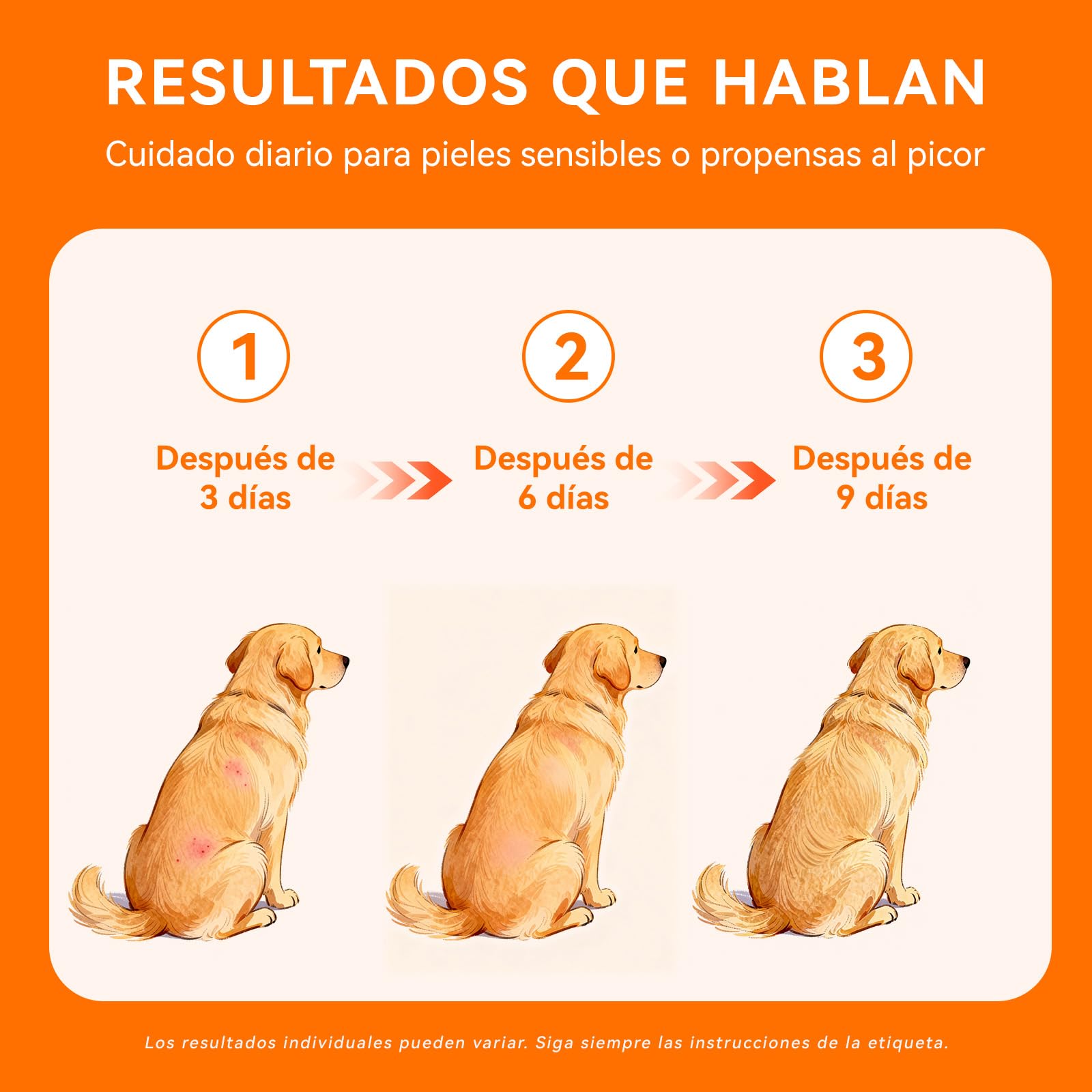 PUAINTA daily-use guideline for 3-5 applications shown.