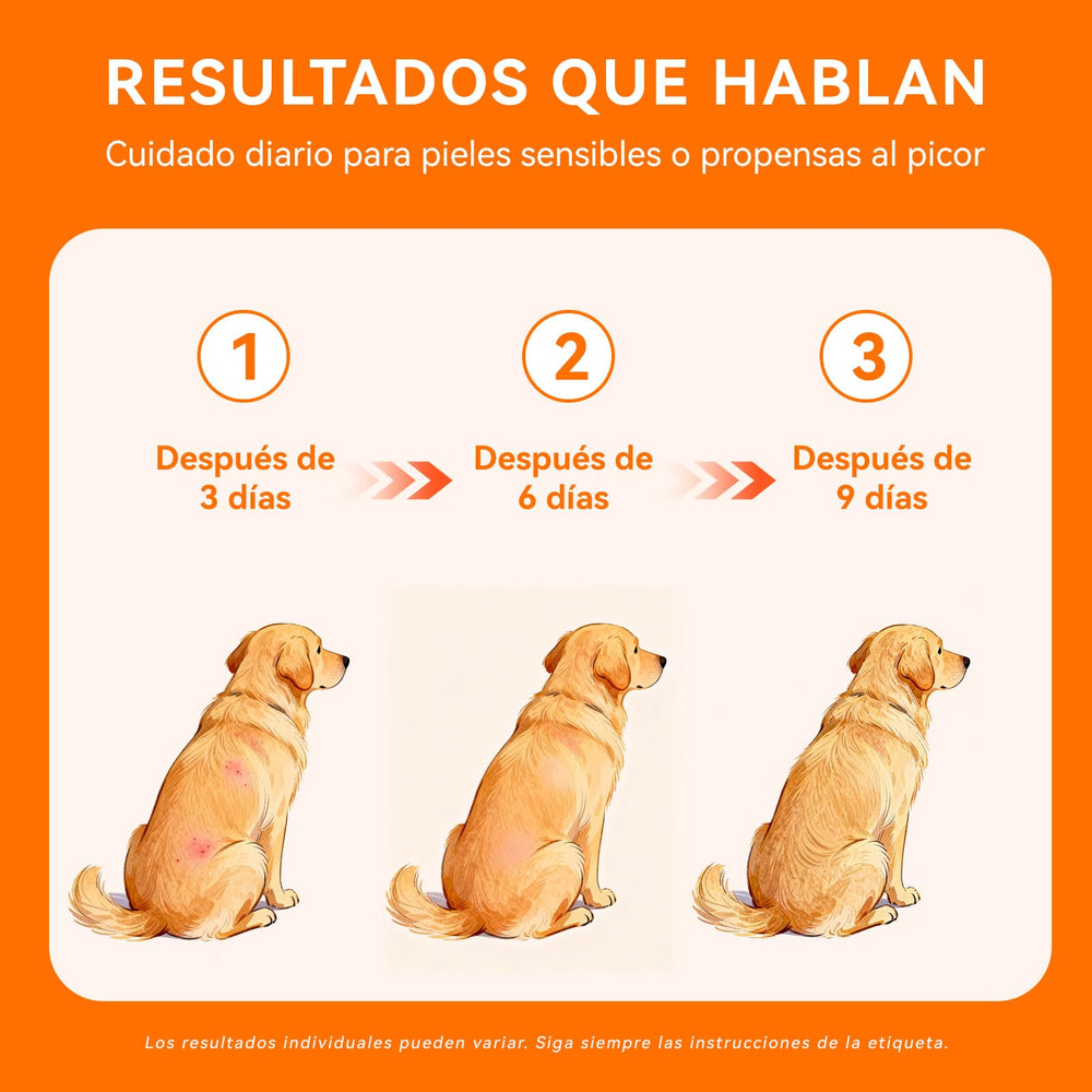 PUAINTA daily-use guideline for 3-5 applications shown.