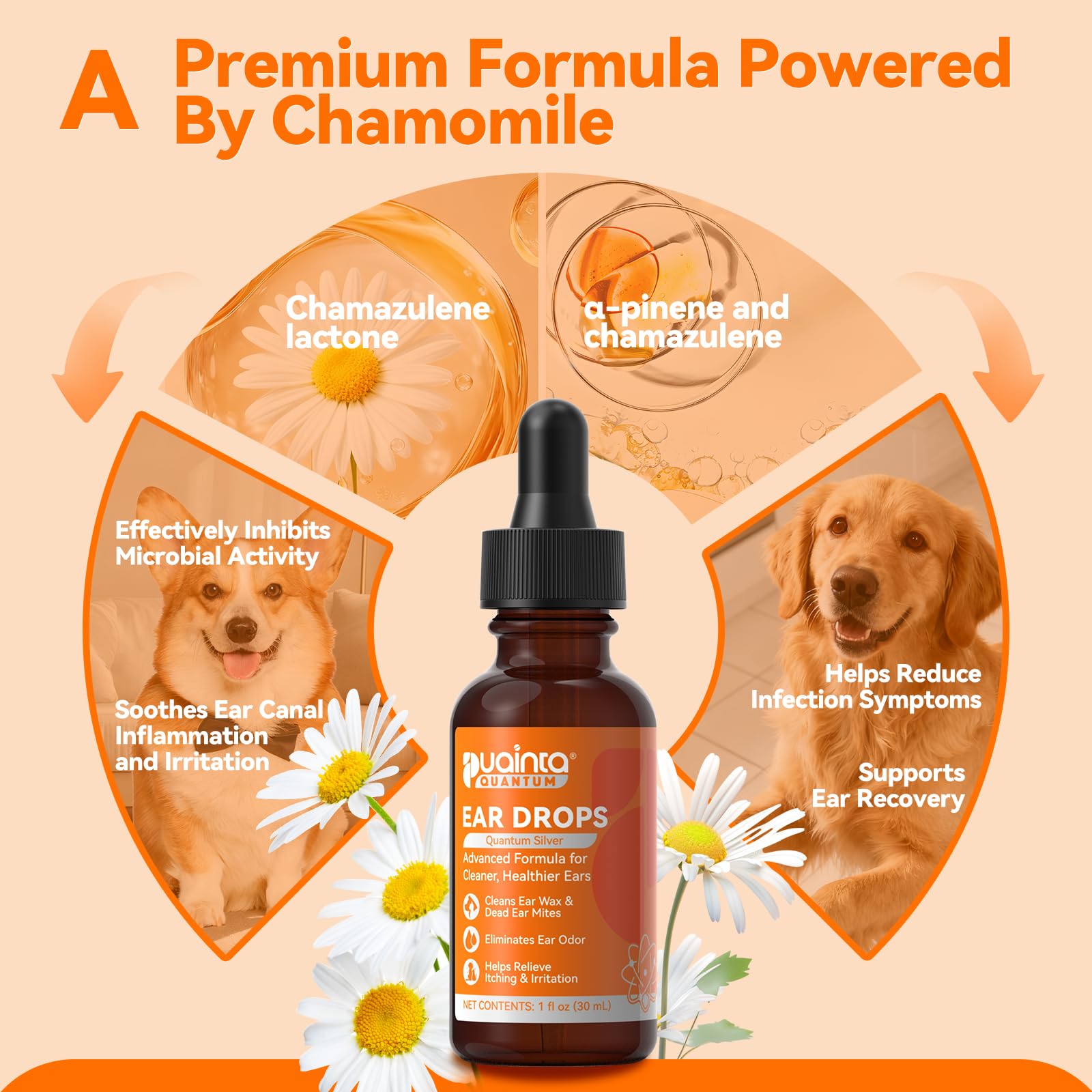 puainta deodorizing formula image shows wax buildup reduction and odor control.