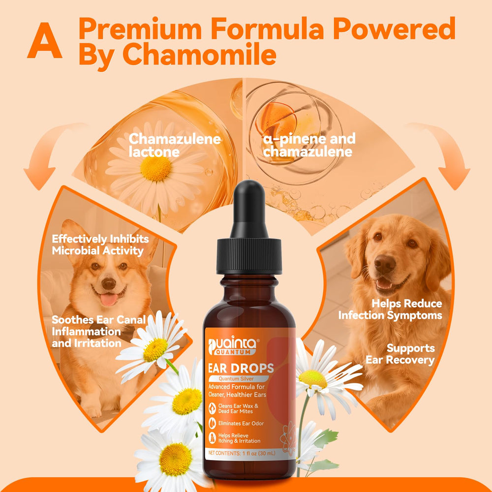 puainta deodorizing formula image shows wax buildup reduction and odor control.