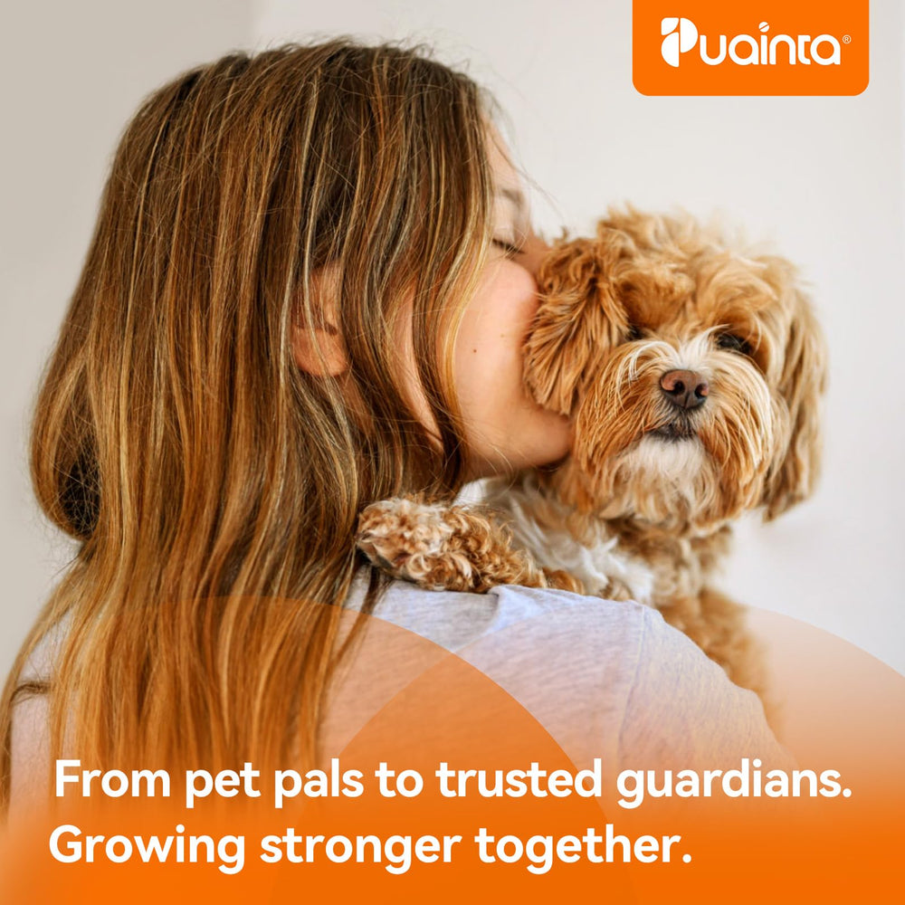PUAINTA made-in-usa GMP-certified seal signals quality.
