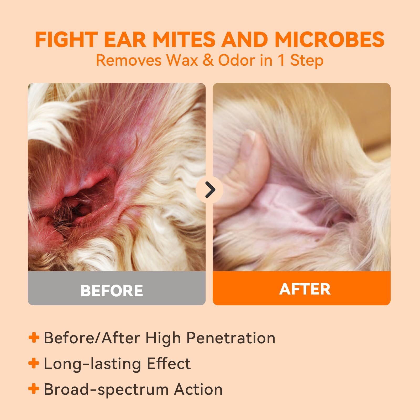 PUAINTA quantum silver ingredient close-up highlighting antimicrobial support for ears