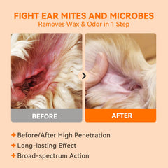 PUAINTA quantum silver ingredient close-up highlighting antimicrobial support for ears