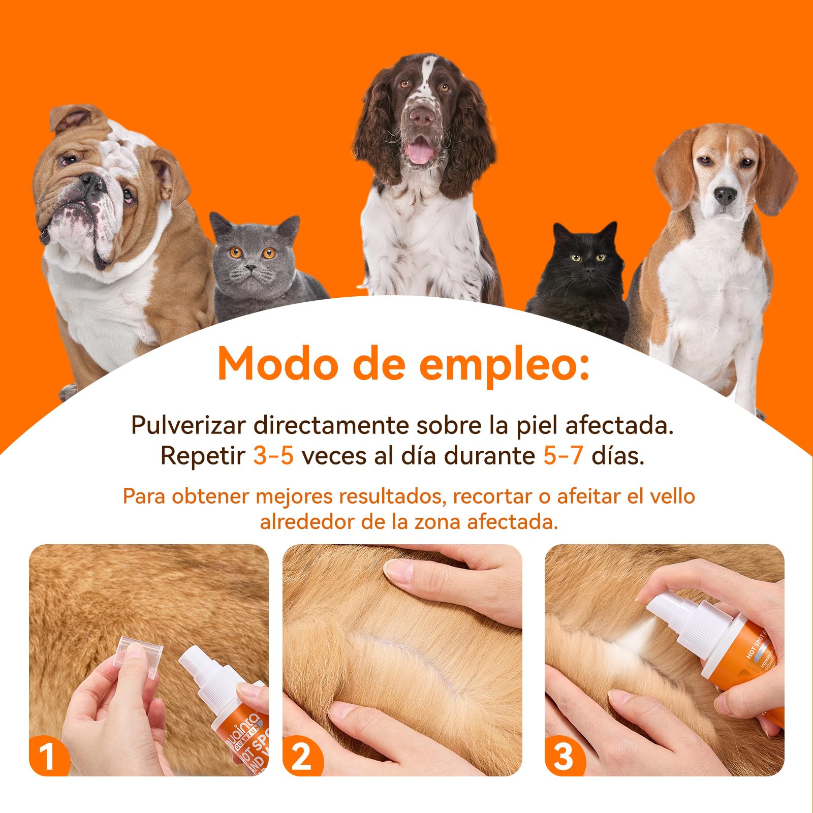 PUAINTA USA-made vet-approved label illustrates trusted care.