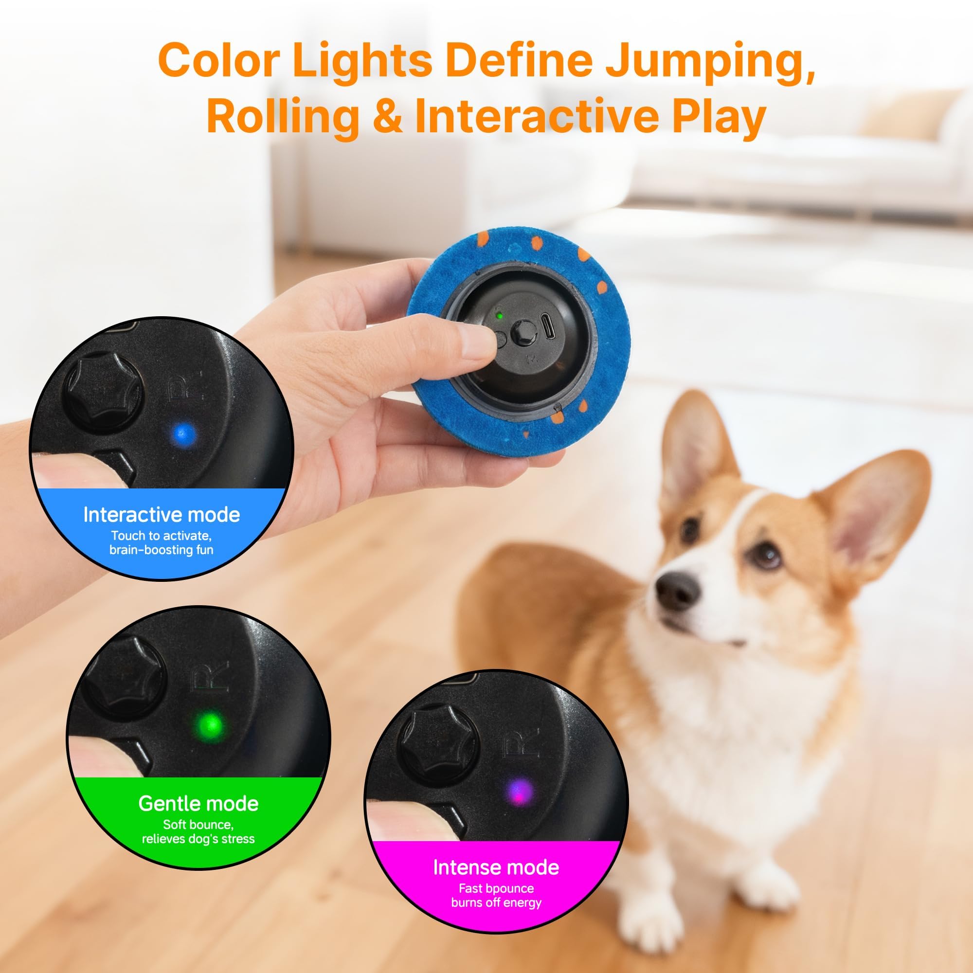 Pubialo bola interactiva para perros con luz verde, equilibrio entre saltos y rodadas.