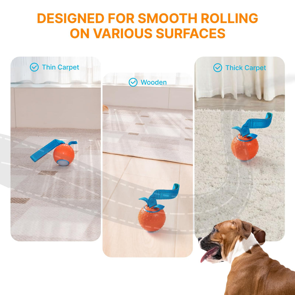 Pubialo Interactive Dog Ball durable shell and reinforced rope support vigorous play sessions