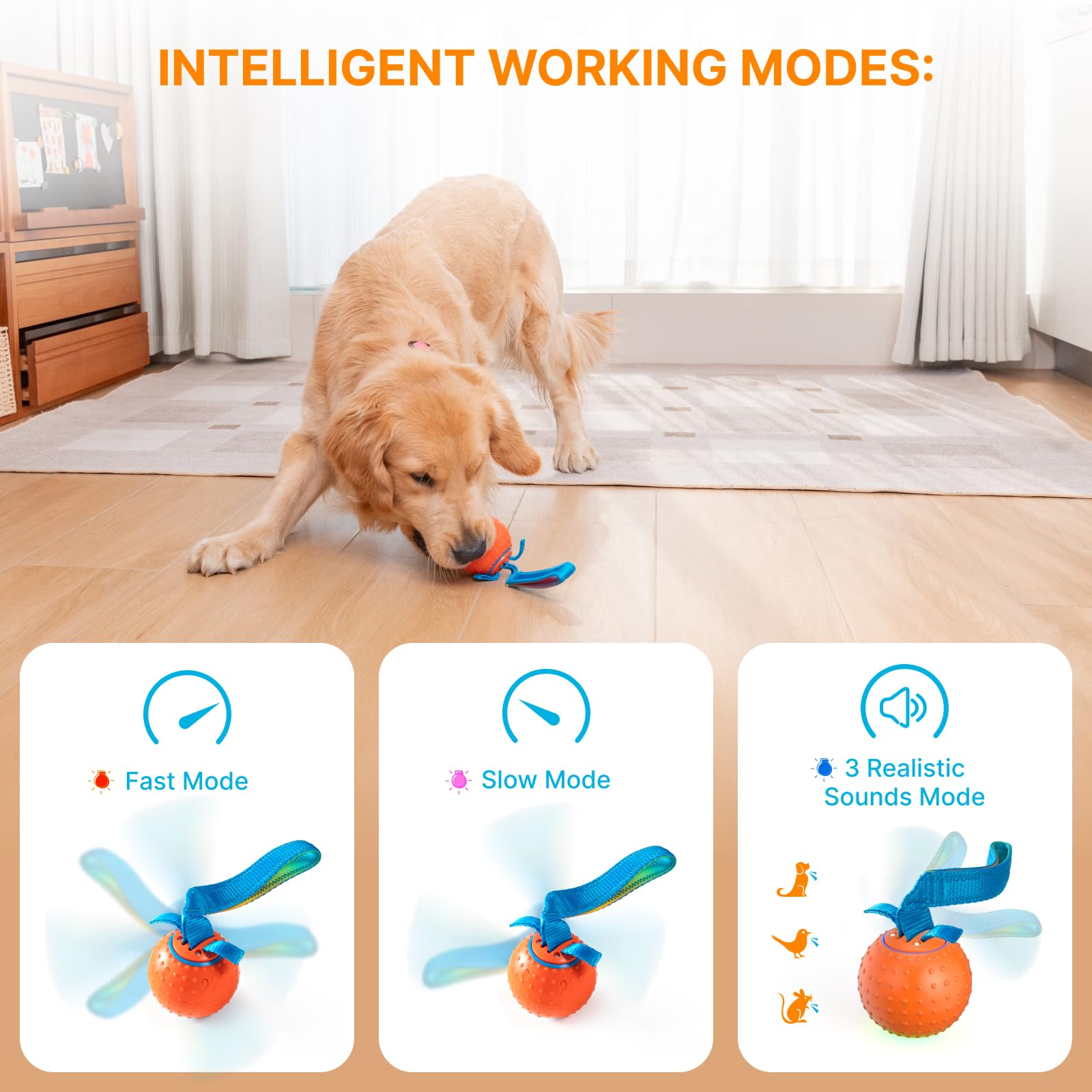 Pubialo Interactive Dog Ball red-light mode in action boosts active play and engagement