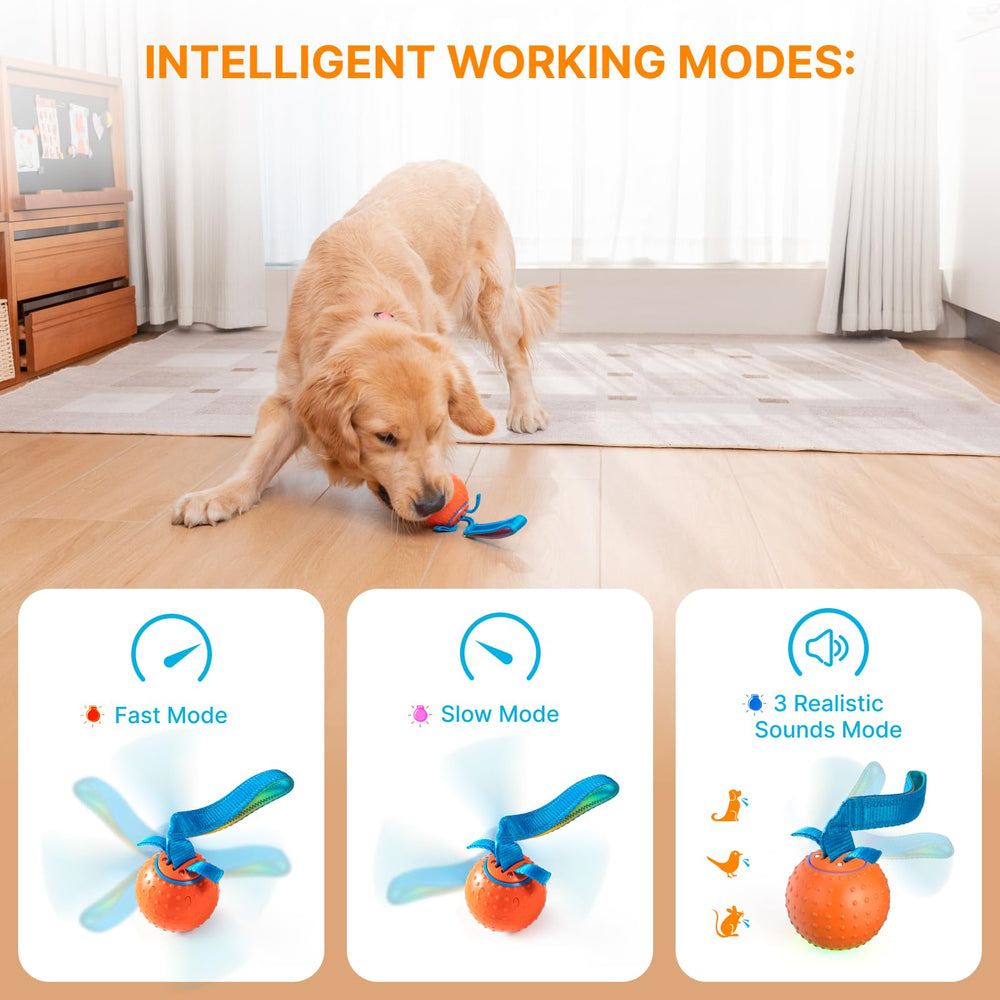 Pubialo Interactive Dog Ball red-light mode in action boosts active play and engagement