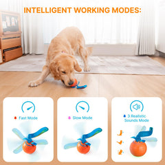 Pubialo Interactive Dog Ball red-light mode in action boosts active play and engagement