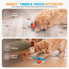 Pubialo Interactive Dog Ball rope attachment invites tug-and-chase play and interaction