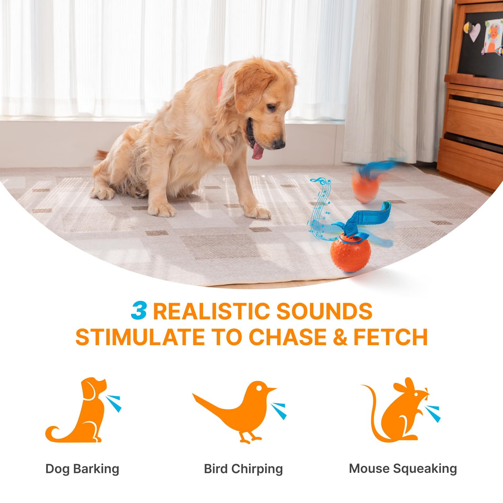 Pubialo Interactive Dog Ball shows lifelike sounds to spark curiosity during chasing