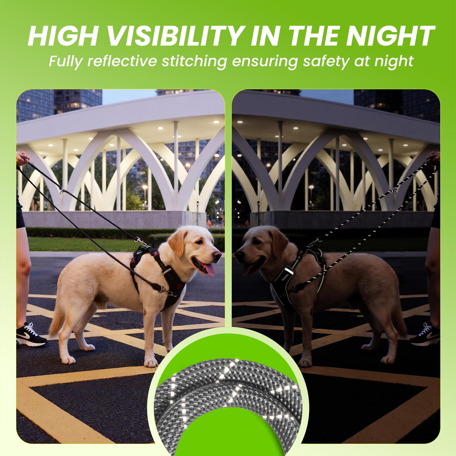 Pudiwind two-point control setup ideal for multi-dog handling