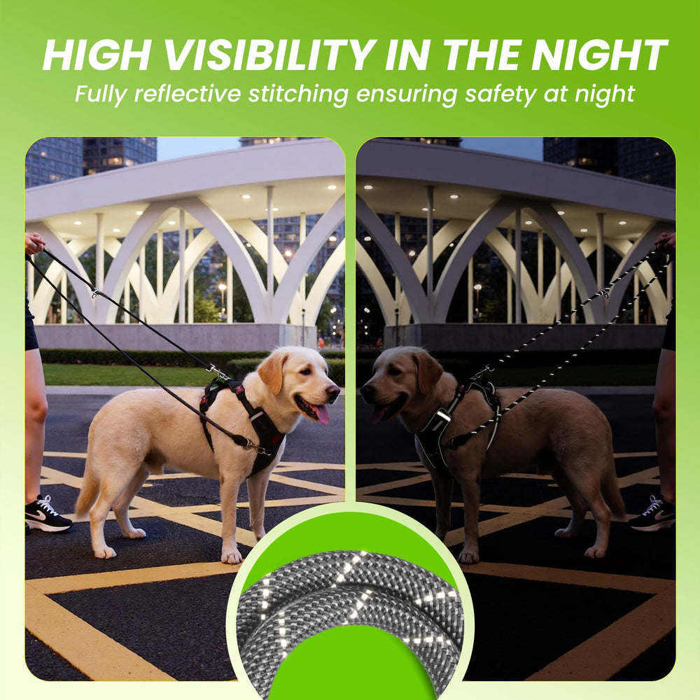 Pudiwind two-point control setup ideal for multi-dog handling