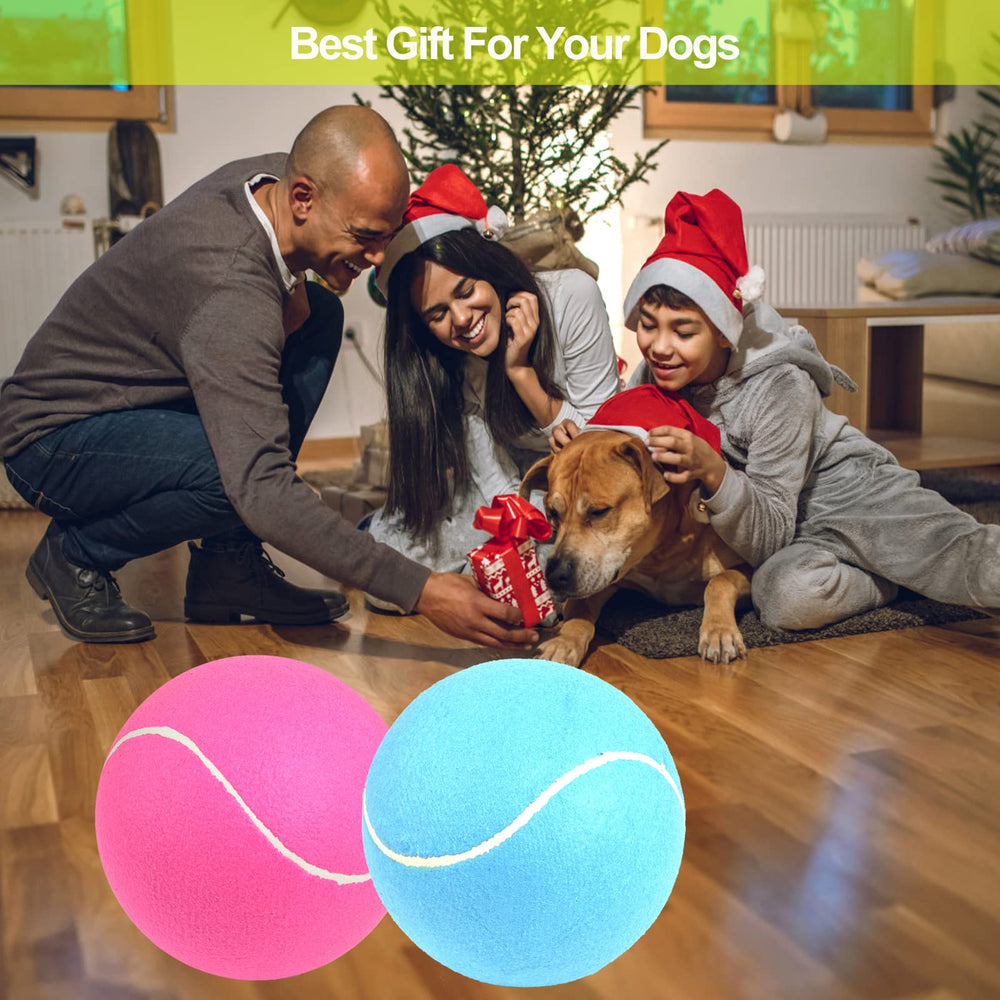 PULEEBO bright pink and blue balls attract dogs during playtime.