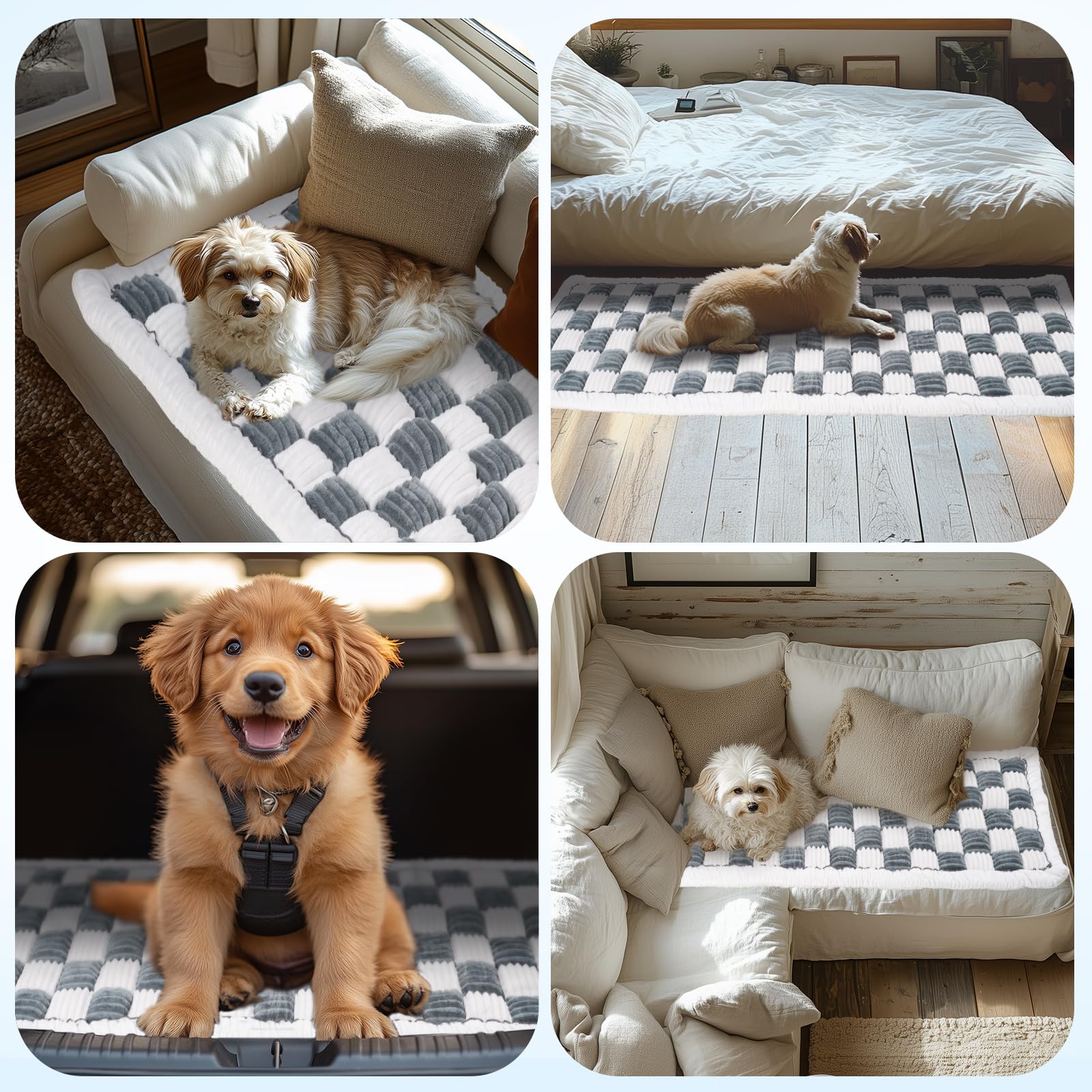 PulseFay couch cover doubles as a cozy pet blanket on a bed.