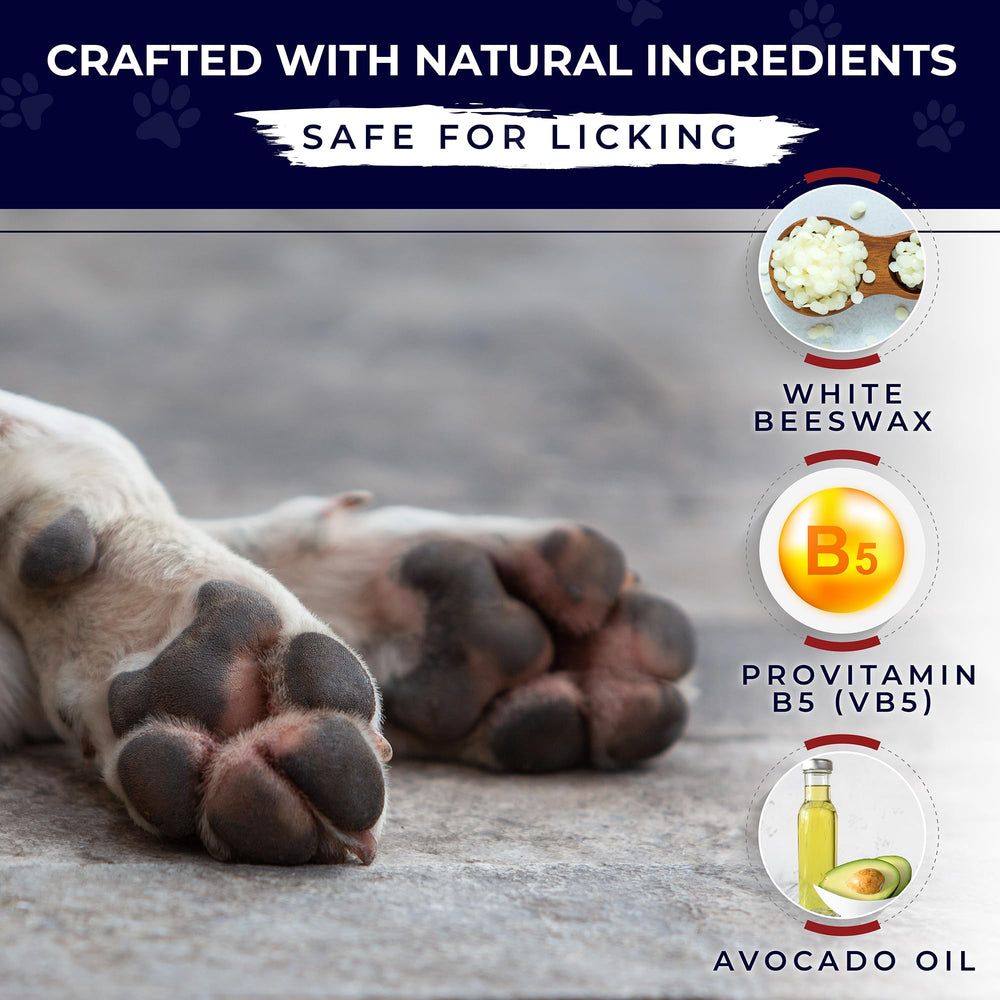 PUMBLER balm applied on a dog's paw for moisturized paw pads.