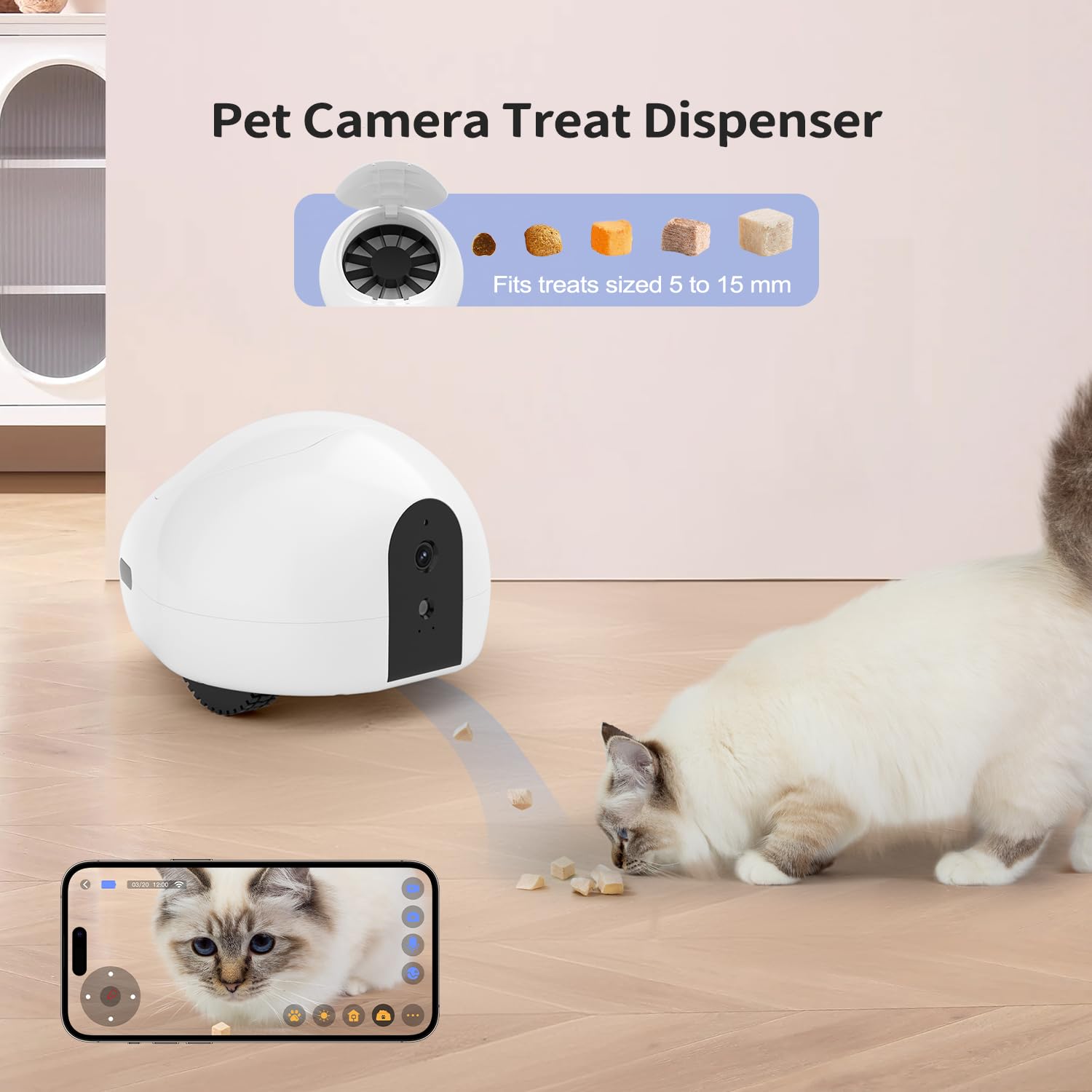 Pumpkii cat camera app live view shows 1080p real-time monitoring with minimal blind spots