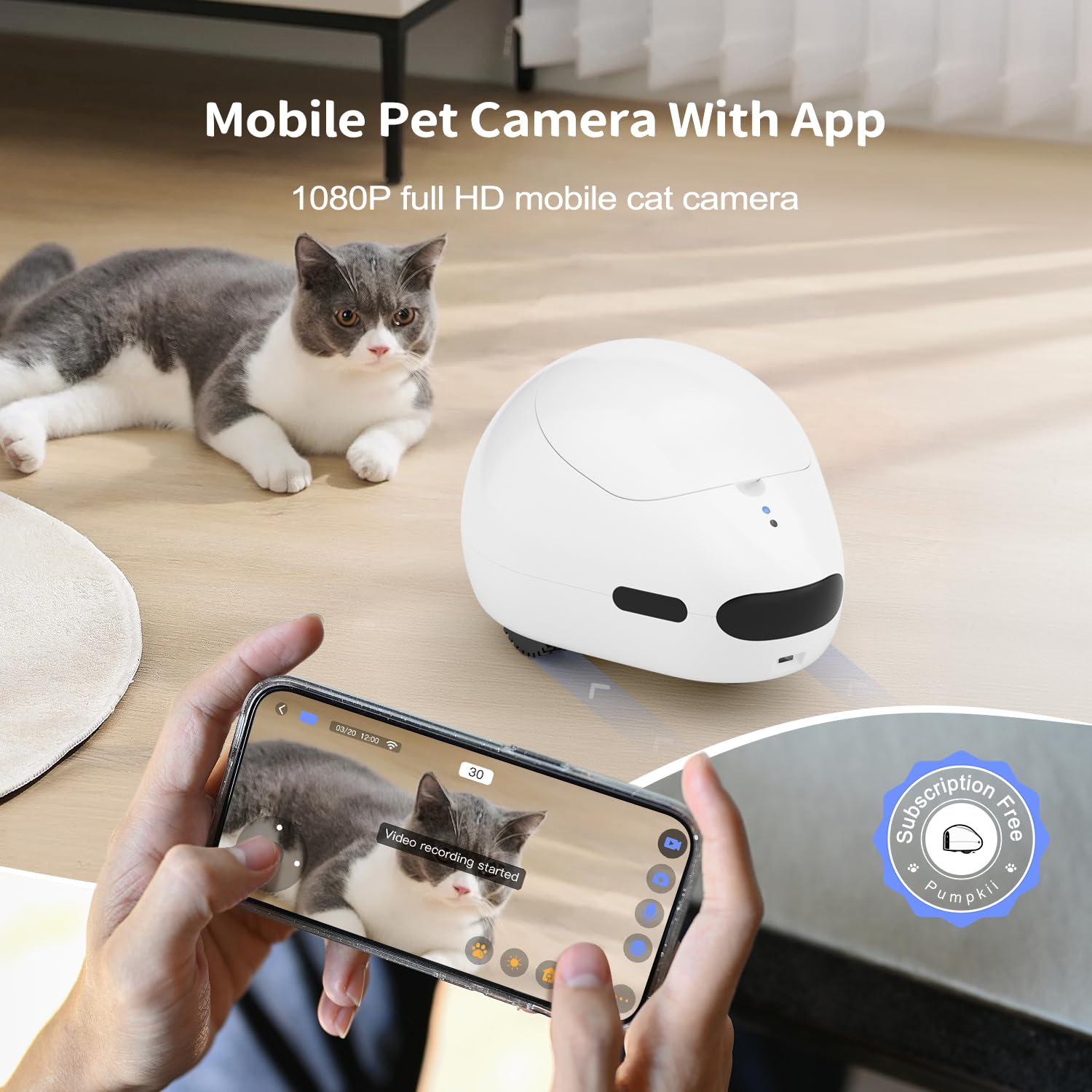 Pumpkii cat camera interactive toy with red dot mode encourages playful engagement