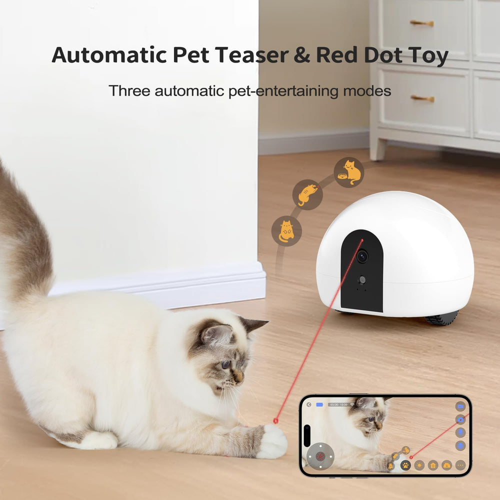 Pumpkii cat camera night vision provides clear low-light pet watching